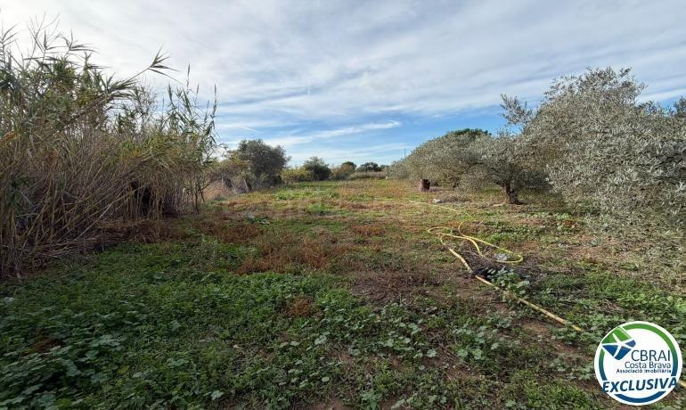 Terreno agrícola destinado a olivar y a huerto, de 8.606 M2. - foto 2