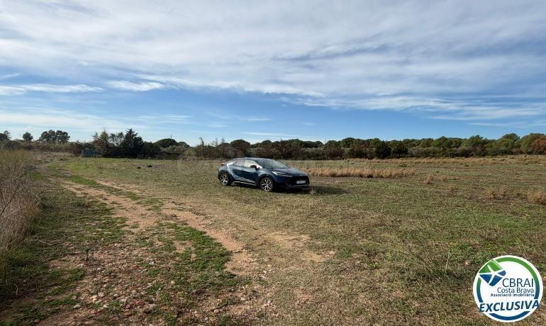 Terreno agrícola destinado a olivar y a huerto, de 8.606 M2. - foto 3