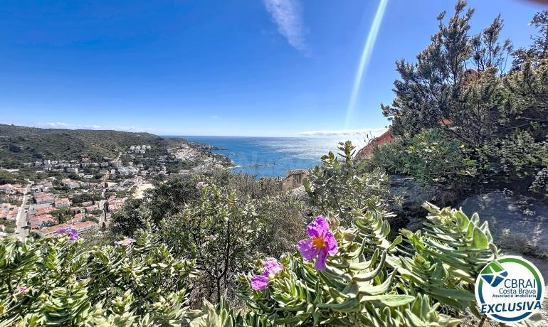 Terreno excepcional con vista panorámica a la bahía de Canye - foto 4