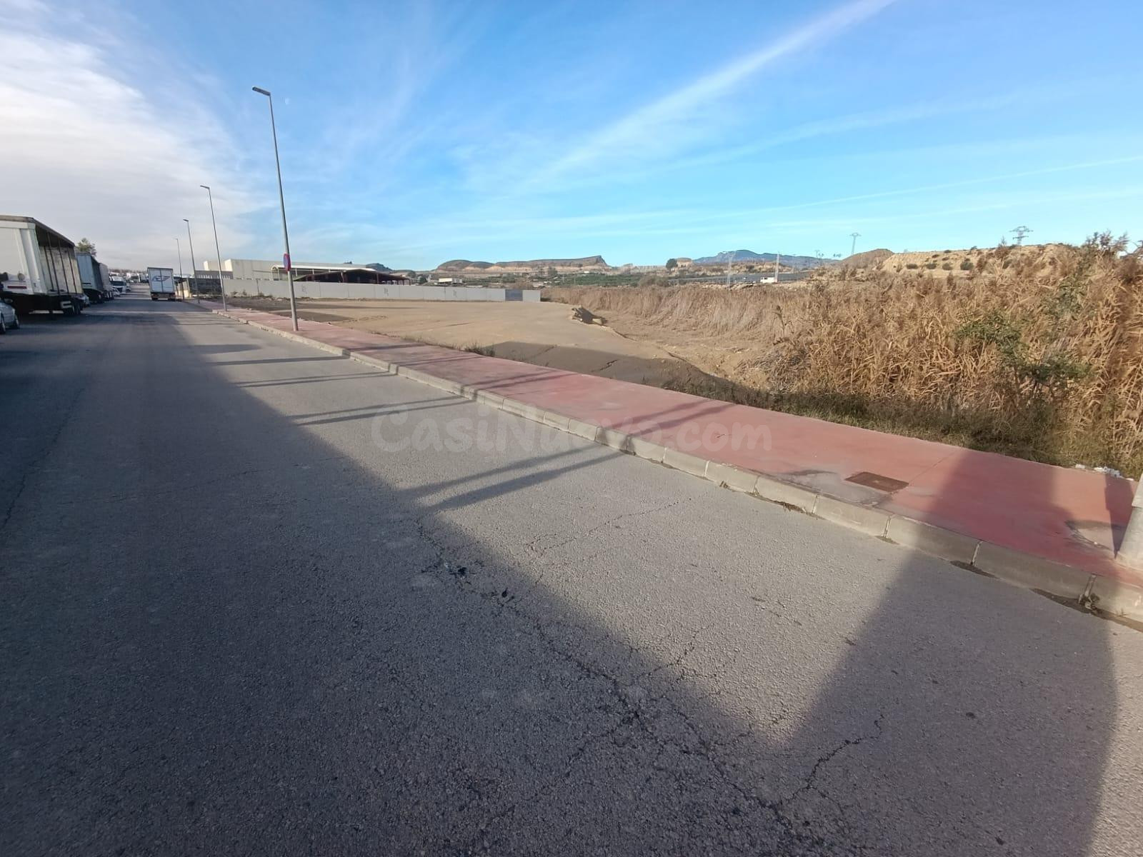 Terreno industrial urbano en el Polígono Los Torraos. Ceutí - foto 3
