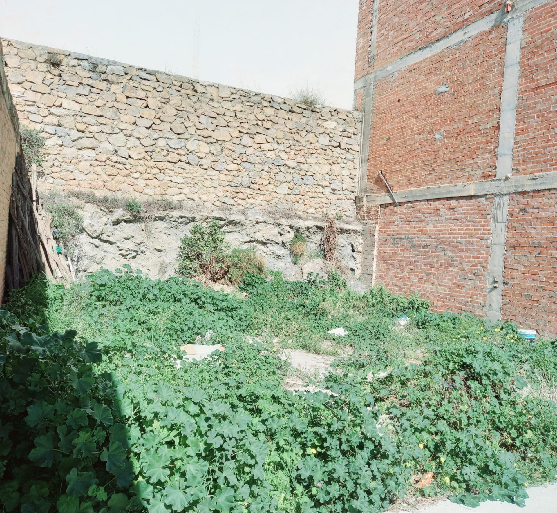Parcela URBANA en venta en Canillas de Aceituno! - foto 2