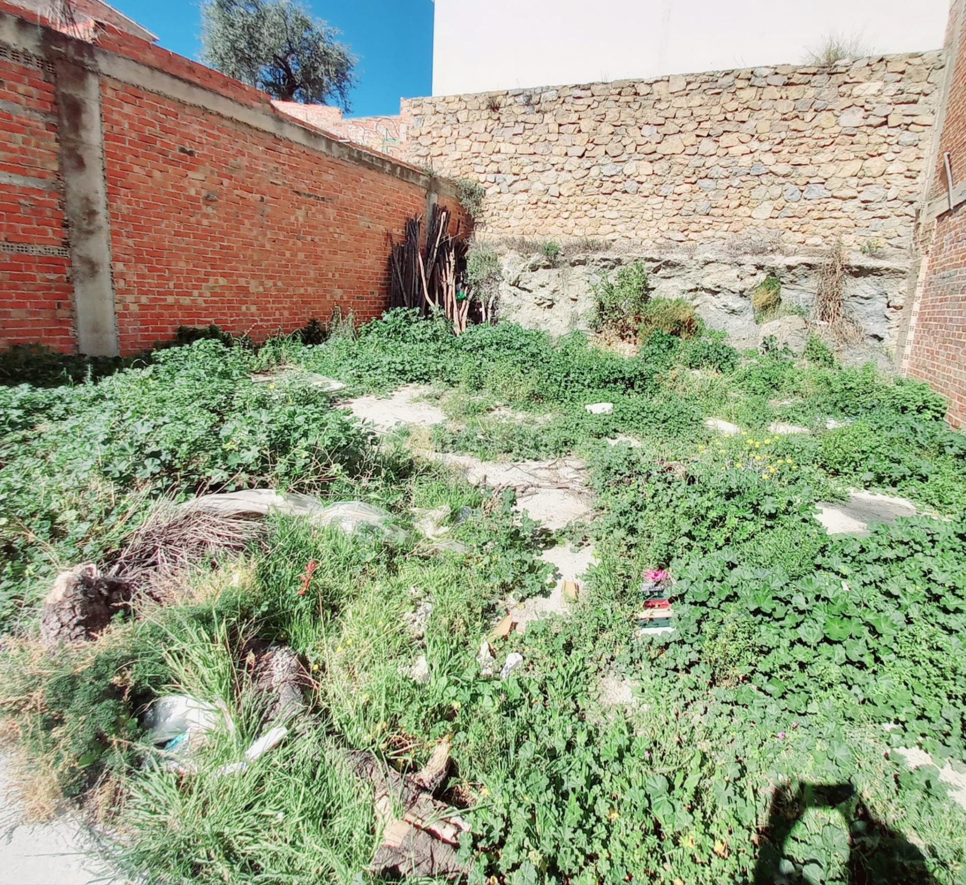 Parcela URBANA en venta en Canillas de Aceituno! - foto 4