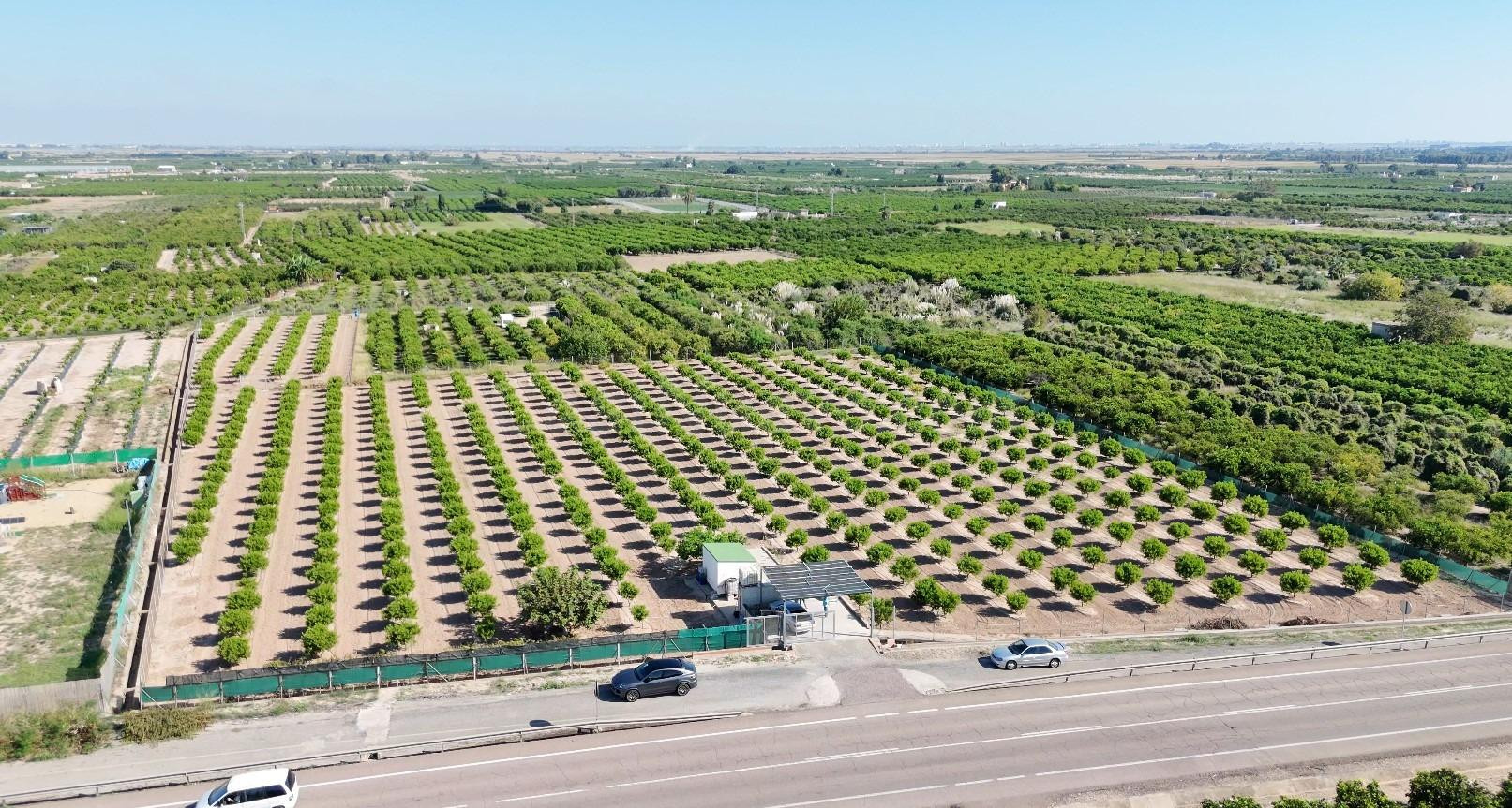 Finca rústica de 14 hanegadas vallada con naranjos jóvenes en producción en Albalat de la Ribera