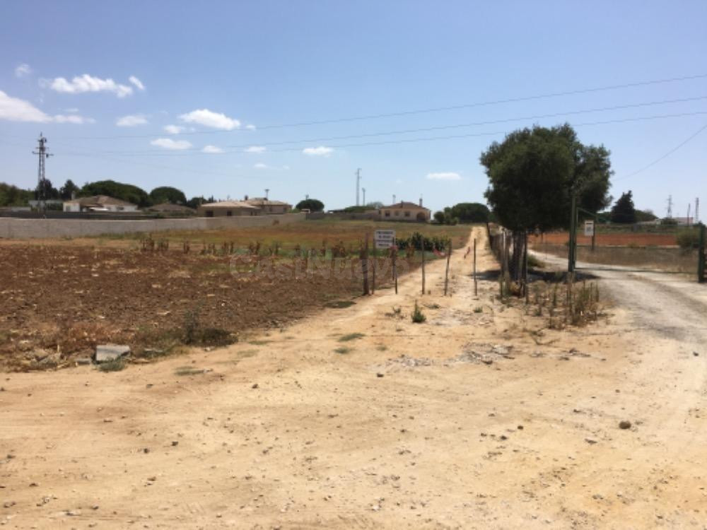 TERRENO URBANIZABLE EN TRANSFORMACIÓN - foto 2