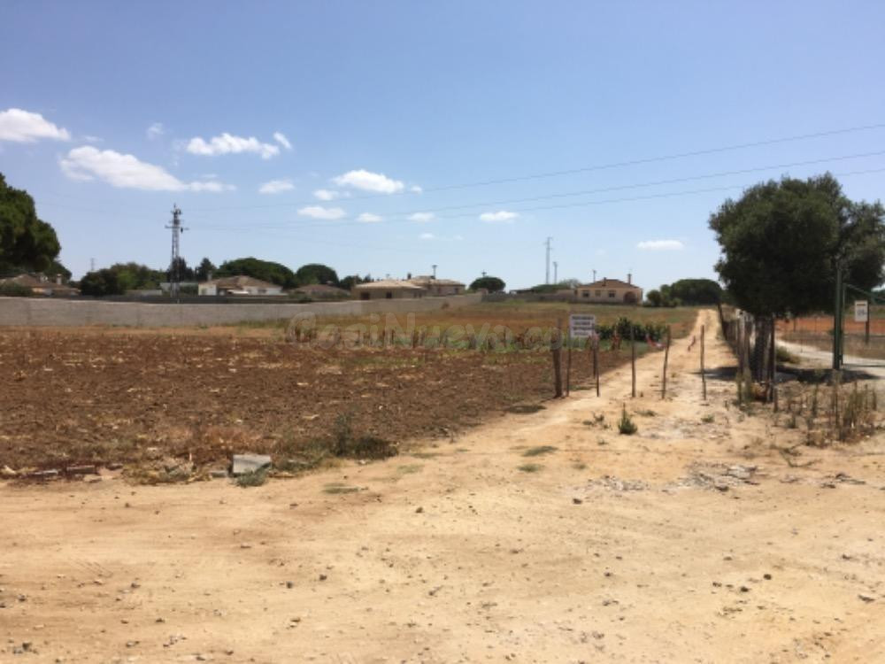 TERRENO URBANIZABLE EN TRANSFORMACIÓN - foto 3