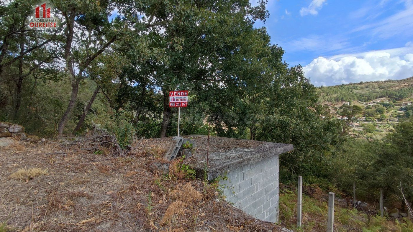 FINCA RUSTICA CON GALPON EN LA ZONA DE CASTRO DE BEIRO (AMOE - foto 2
