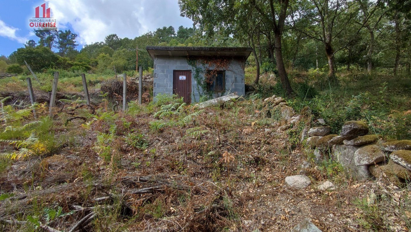 FINCA RUSTICA CON GALPON EN LA ZONA DE CASTRO DE BEIRO (AMOE - foto 3