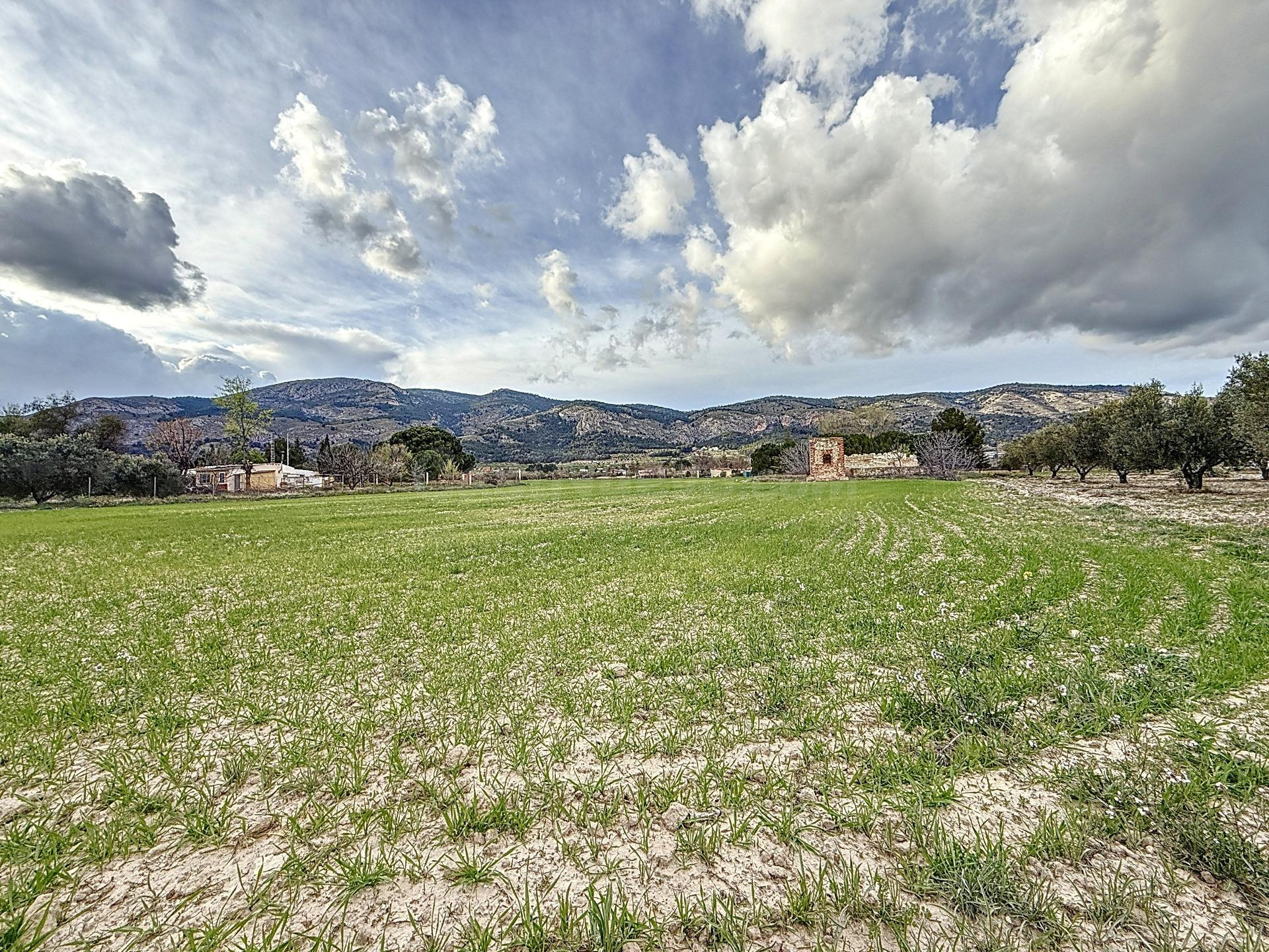 PARCELA DE TERRENO RUSTICO DE 14.885 EN LA MARJAL DE ONIL - foto 2