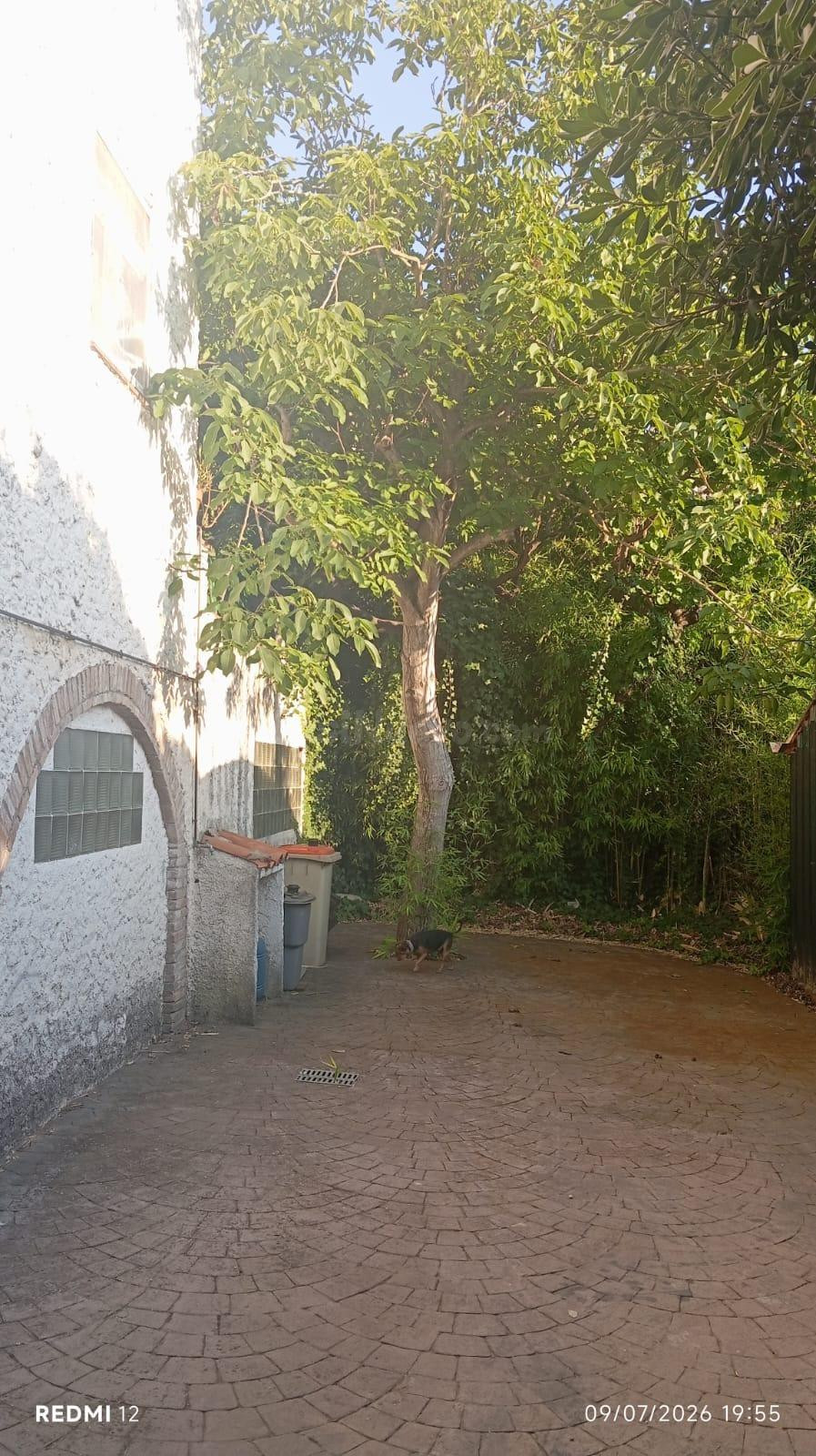 INCREIBLE CASA FAMILIAR CON SOLERA - foto 3