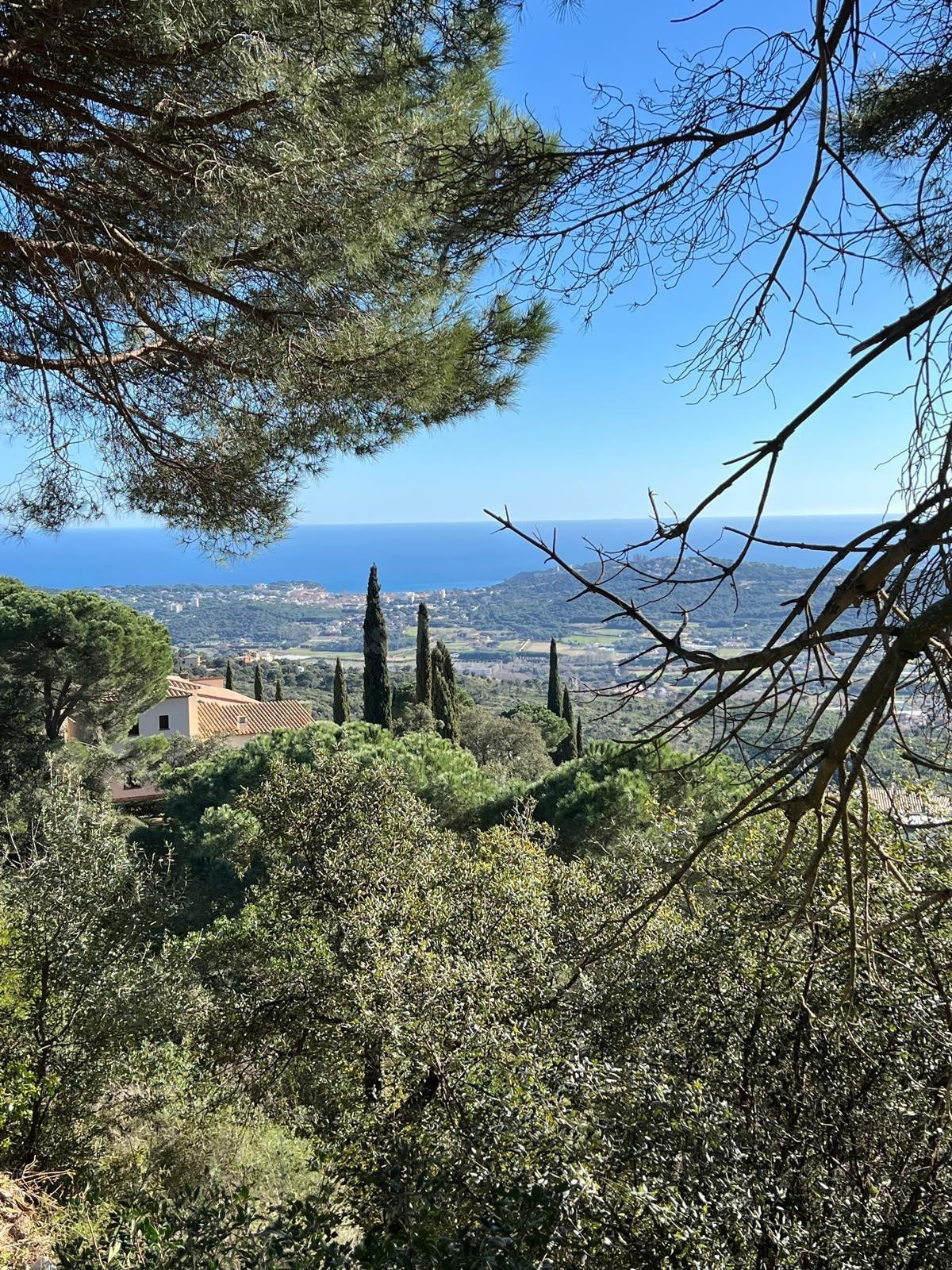 PARCELA EXCEPCIONAL DE 1.800 m2 CON VISTAS AL MAR – MAS NOU, - foto 5