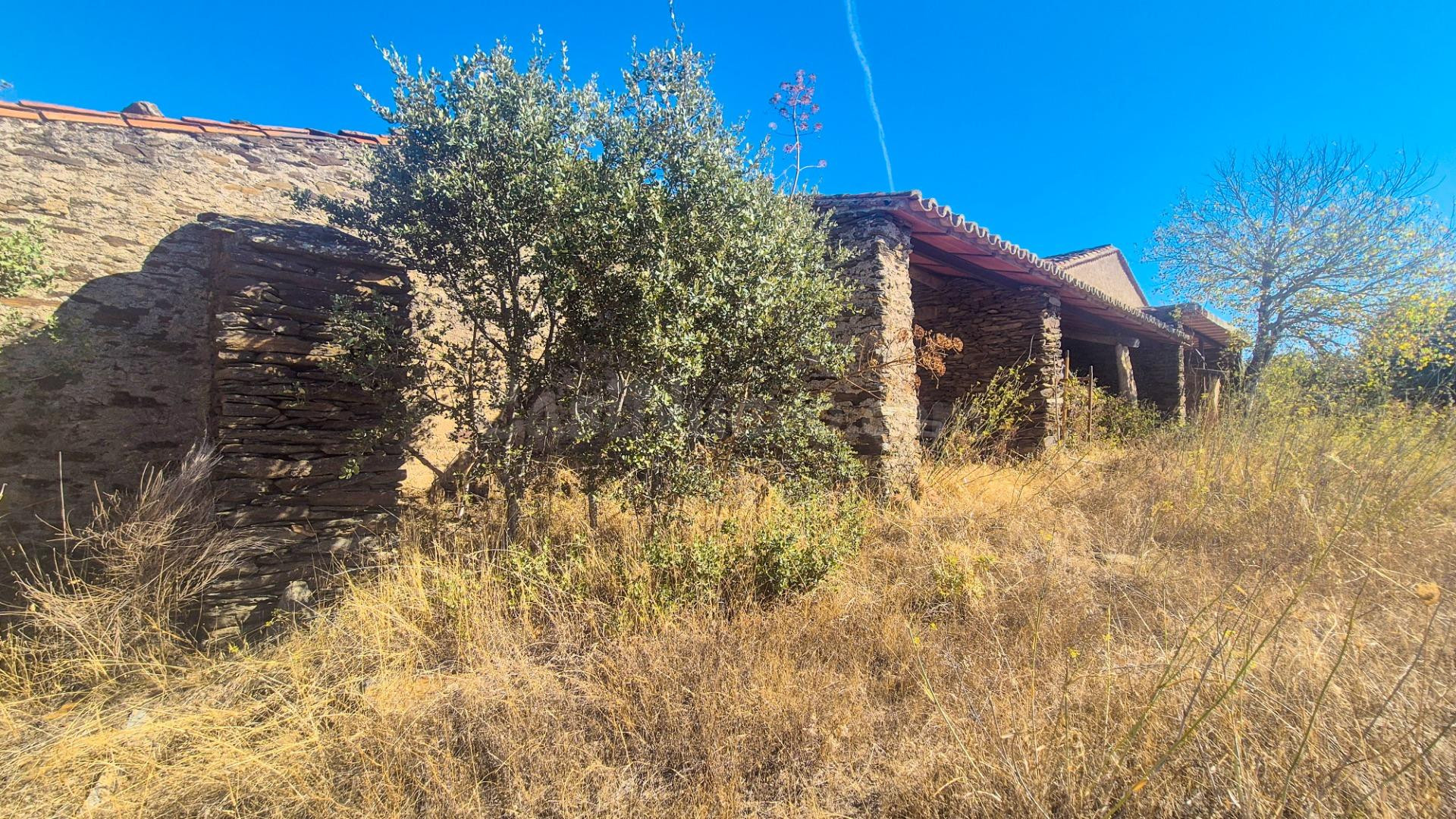 PARCELA VENTA AHIGAL DE LOS ACEITEROS. Urbis te ofrece una p - foto 4