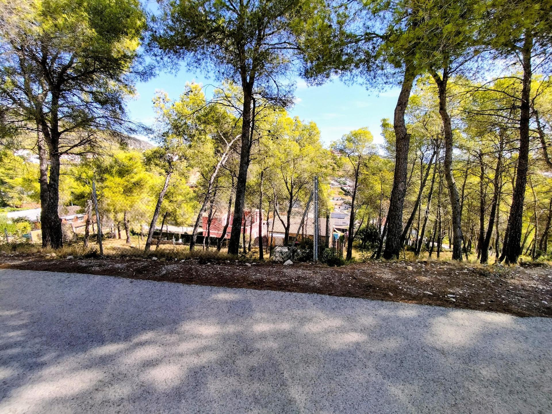 Parcela en venta en Canyelles - foto 3
