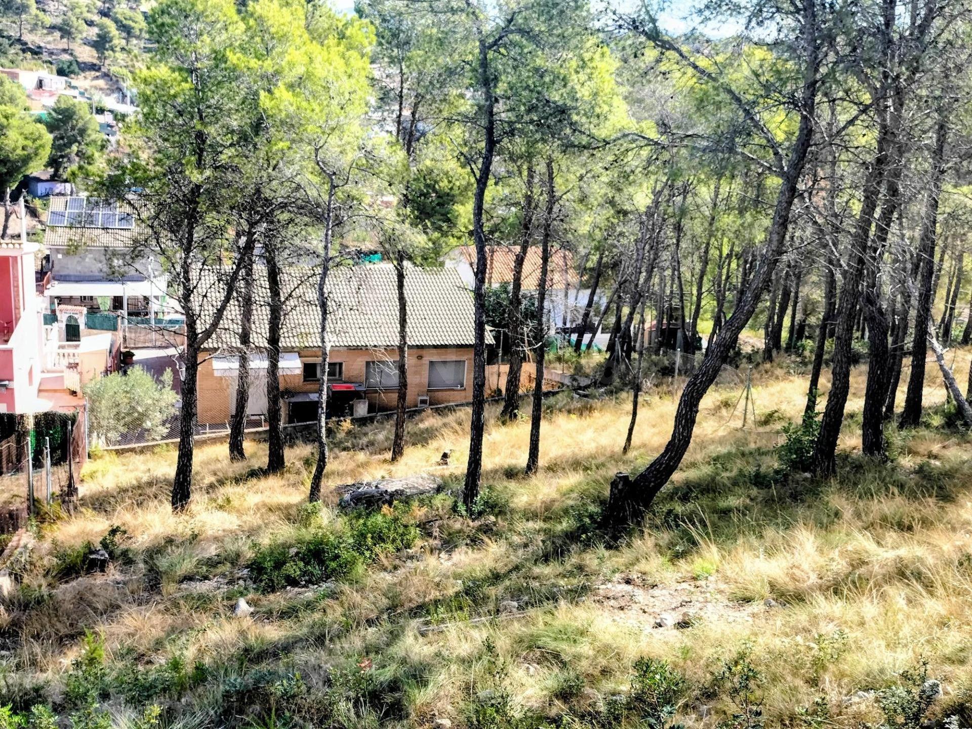 Parcela en venta en Canyelles - foto 4
