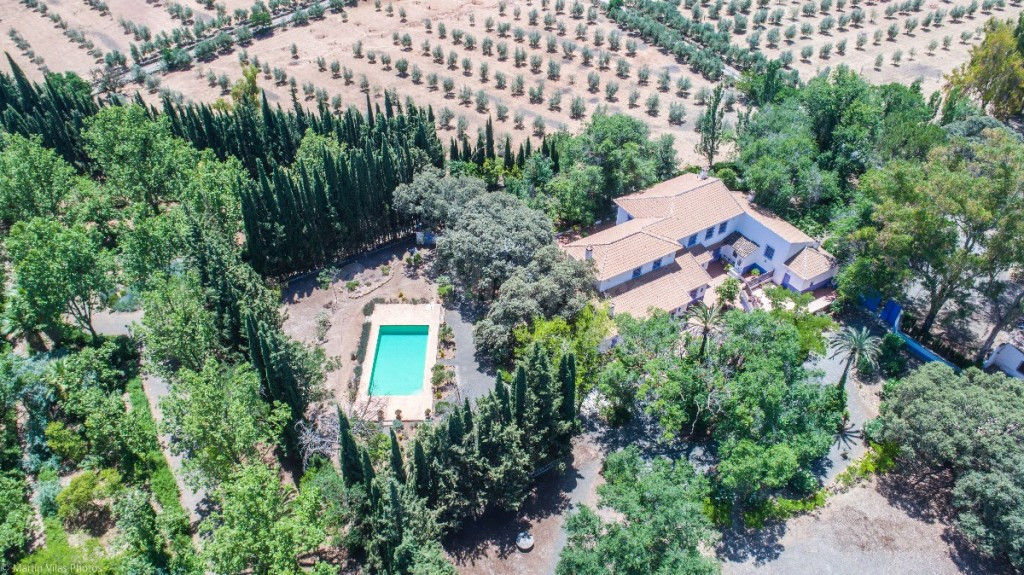 Finca rústica 7 habitaciones 3650m² en venta - Andalucia - foto 3