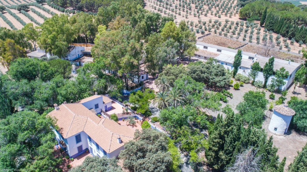 Finca rústica 7 habitaciones 3650m² en venta - Andalucia - foto 4