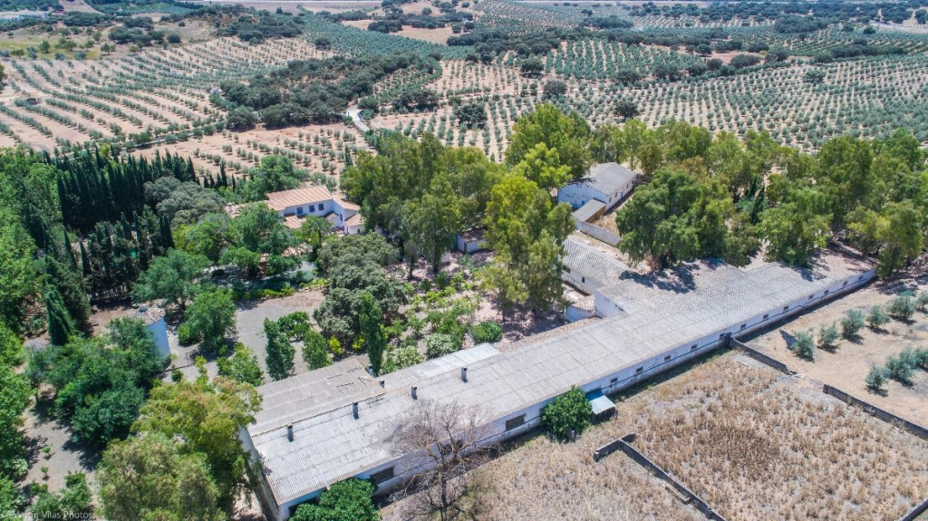 Finca rústica 7 habitaciones 3650m² en venta - Andalucia - foto 5