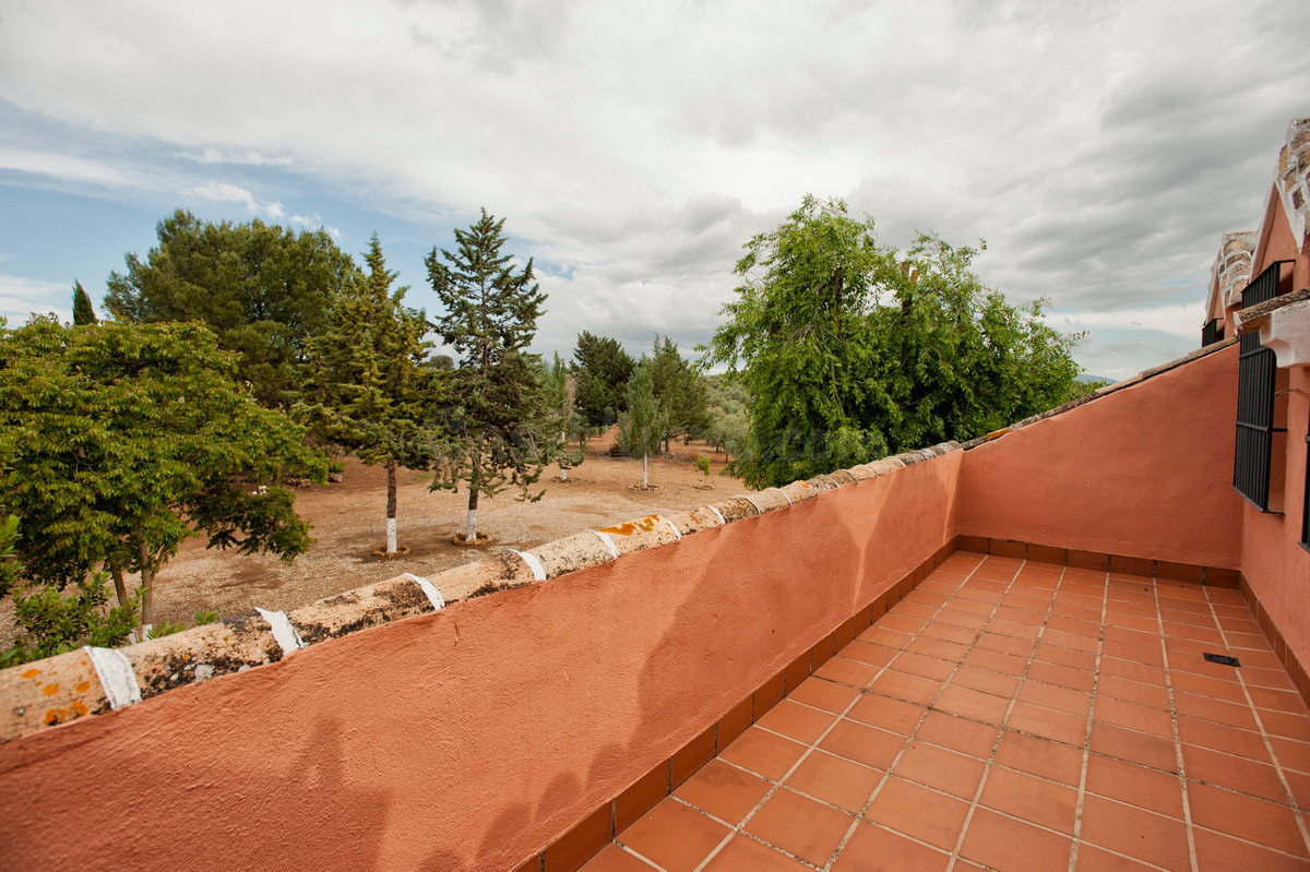 Finca rústica 6 habitaciones 300m² en venta - Andalucia - foto 3
