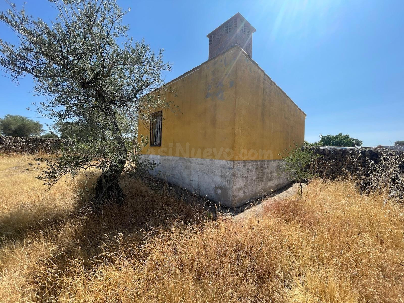 OLIVAR EN VALDEFUENTES CON CONSTRUCCIÓN DE UNOS 25 METROS CU - foto 2