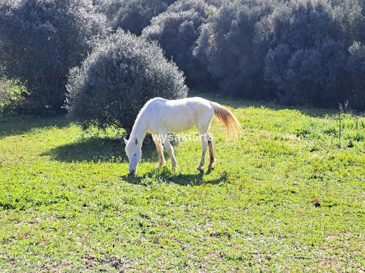 Parcela en venta - San Roque Pueblo - foto 3