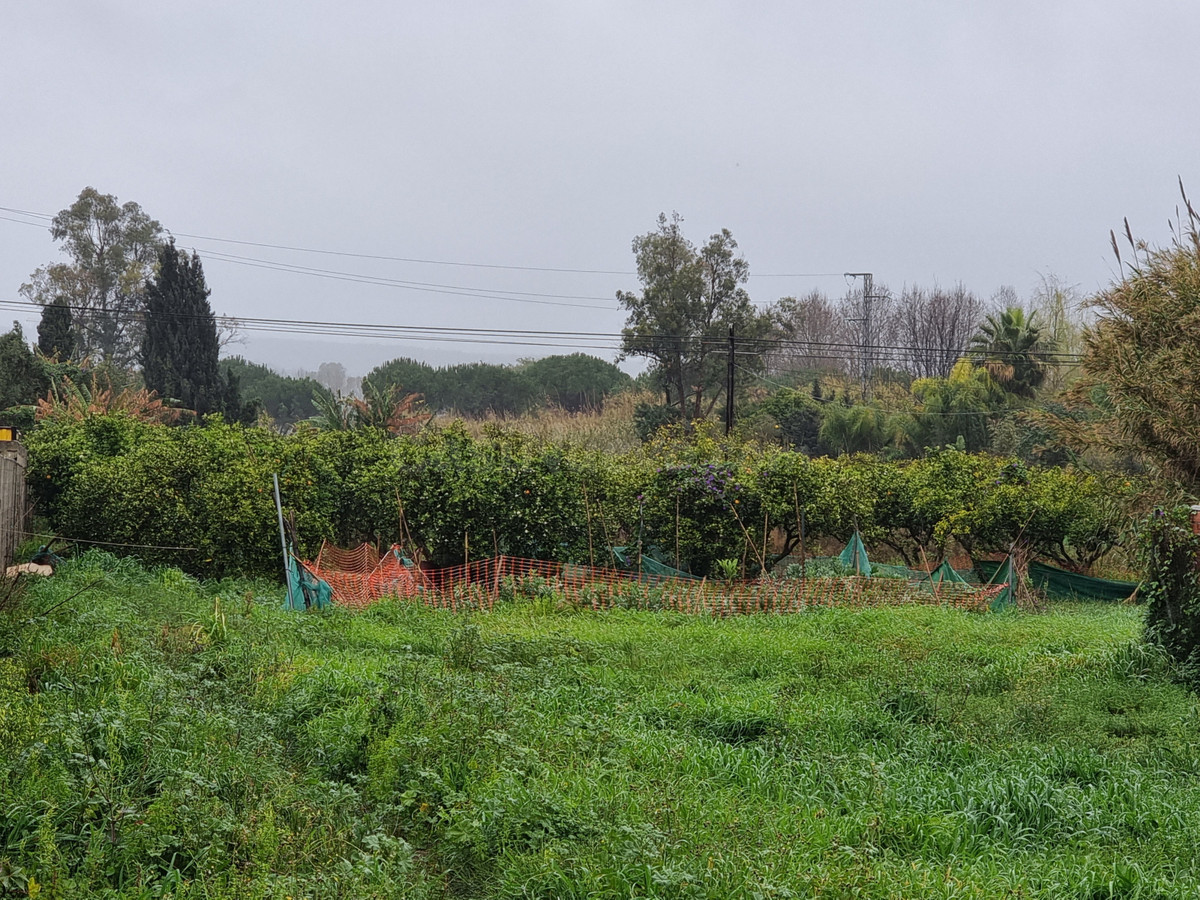 Parcela en venta - San Enrique De Guadiaro - foto 2
