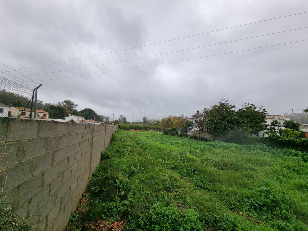 Parcela en venta - San Enrique De Guadiaro - foto 4