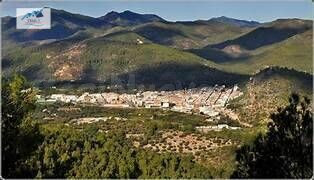 VENTA DE TERRENO EN ARTANA (CASTELLÓN) - foto 3