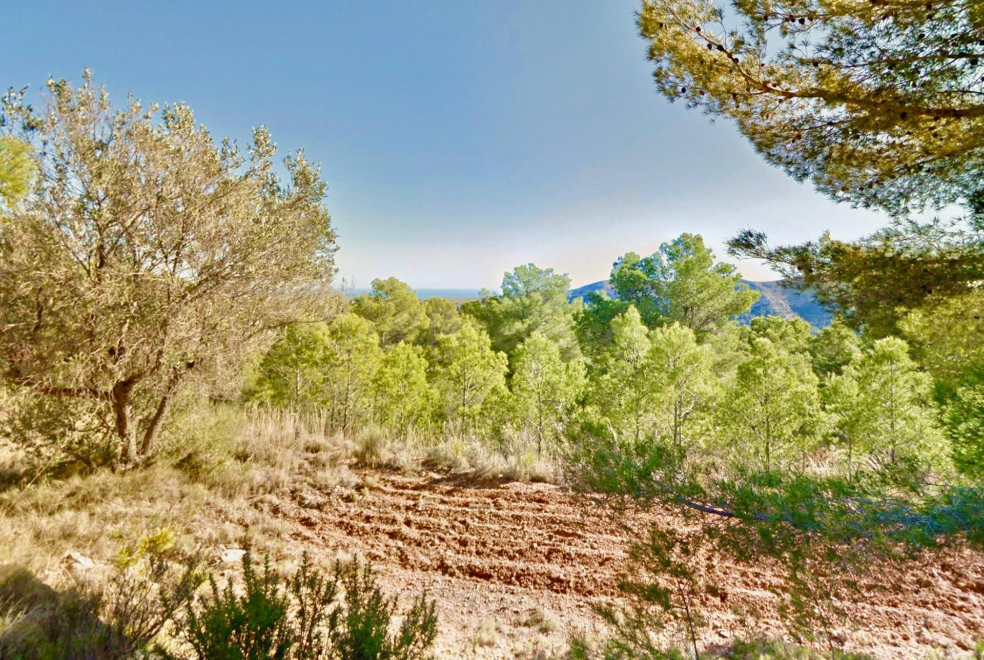 OPORTUNIDAD DE INVERSIÓN: PARCELA URBANIZABLE PARA DESARROLLO TURÍSTICO EN ZONA DE EXPANSIÓN CERCA DE BENIDORM