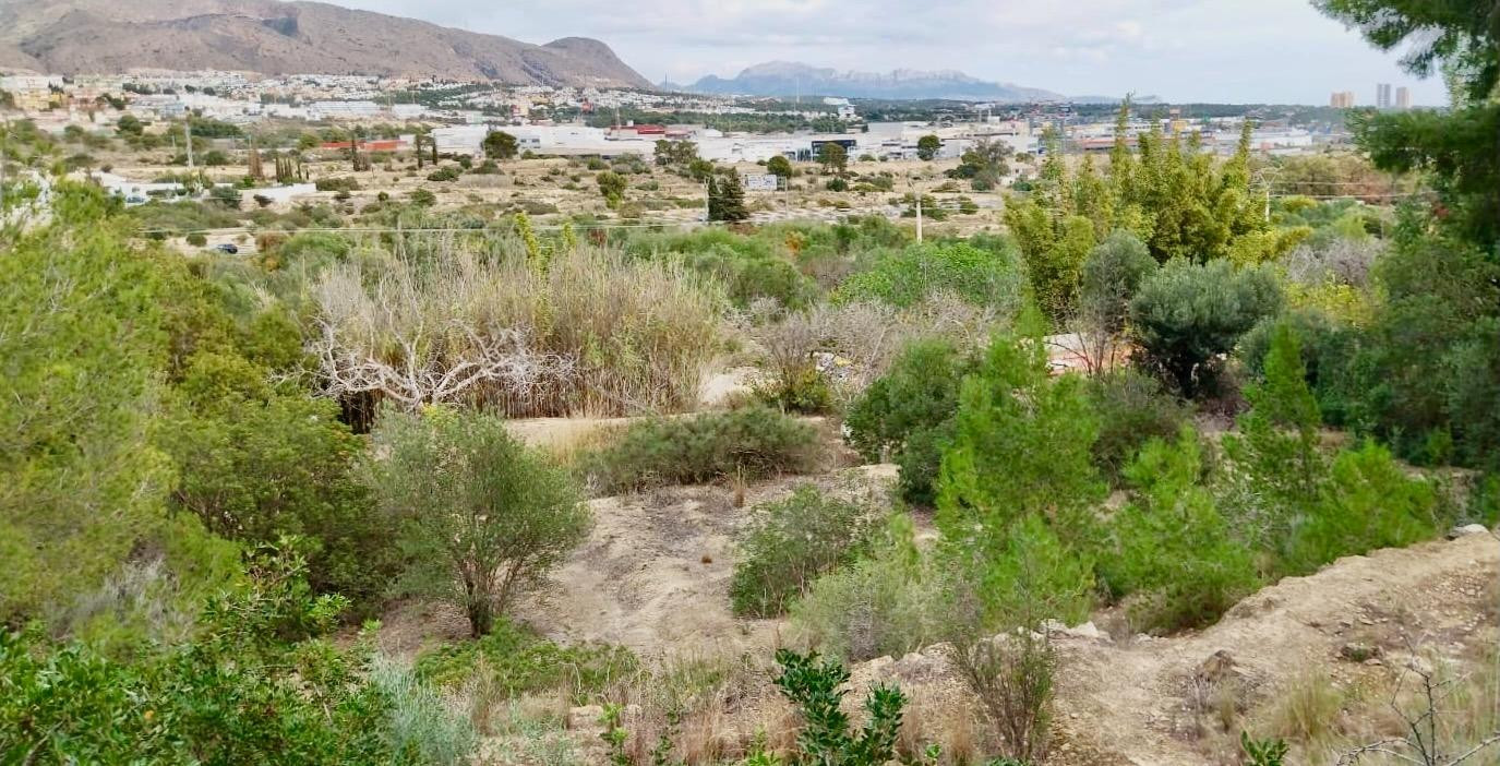 PARCELA RÚSTICA DE MÁS DE 15.000 M2 CON GRAN POTENCIAL DE IN - foto 4