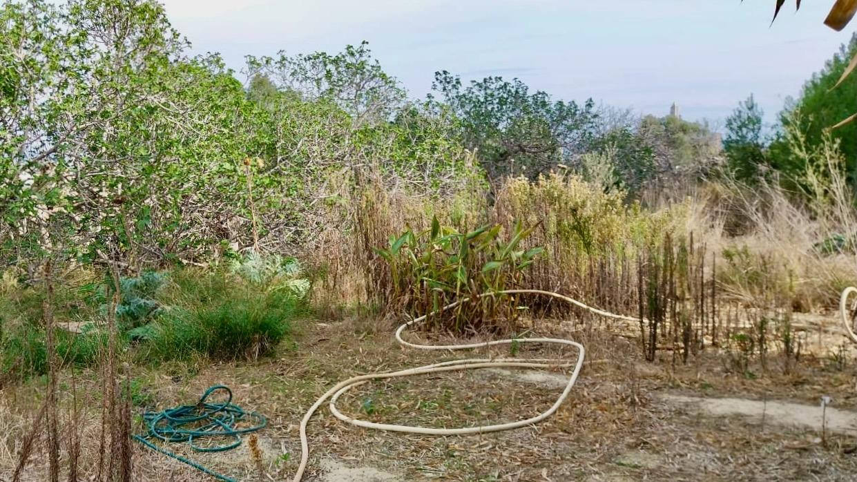 PARCELA RÚSTICA DE MÁS DE 15.000 M2 CON GRAN POTENCIAL DE IN - foto 5