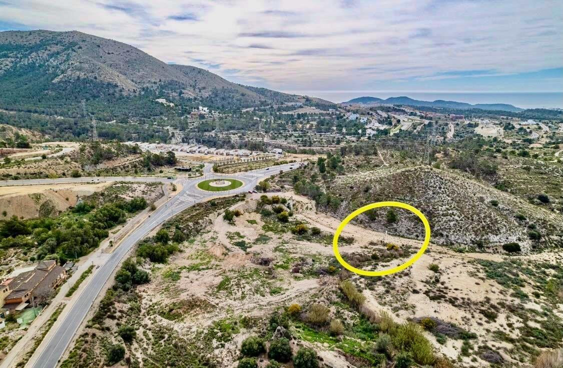 PARCELA DE USO TERCIARIO HOTELERO, COMERCIAL E INDUSTRIAL EN - foto 4