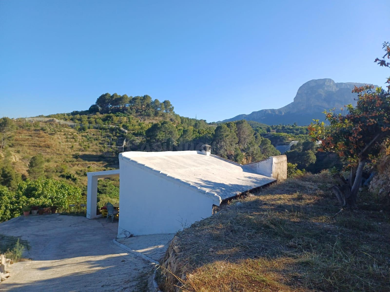 PARCELA DE TERRENO CON CASA CONSTRUIDA Y ARBOLES FRUTALES - foto 4