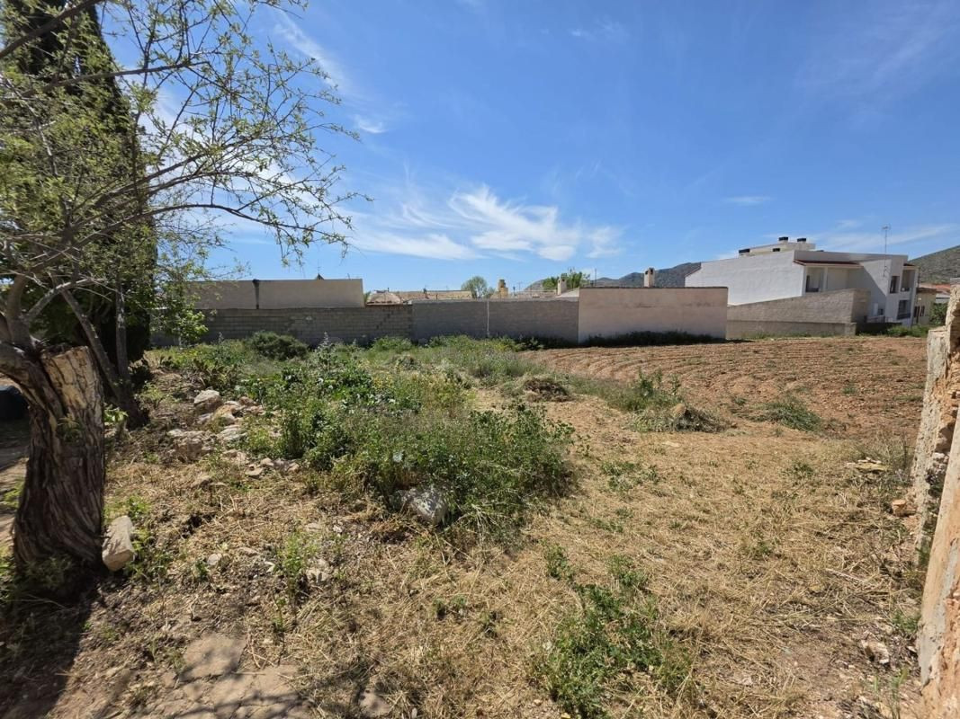 Parcela en venta - Comunidad valenciana - foto 2