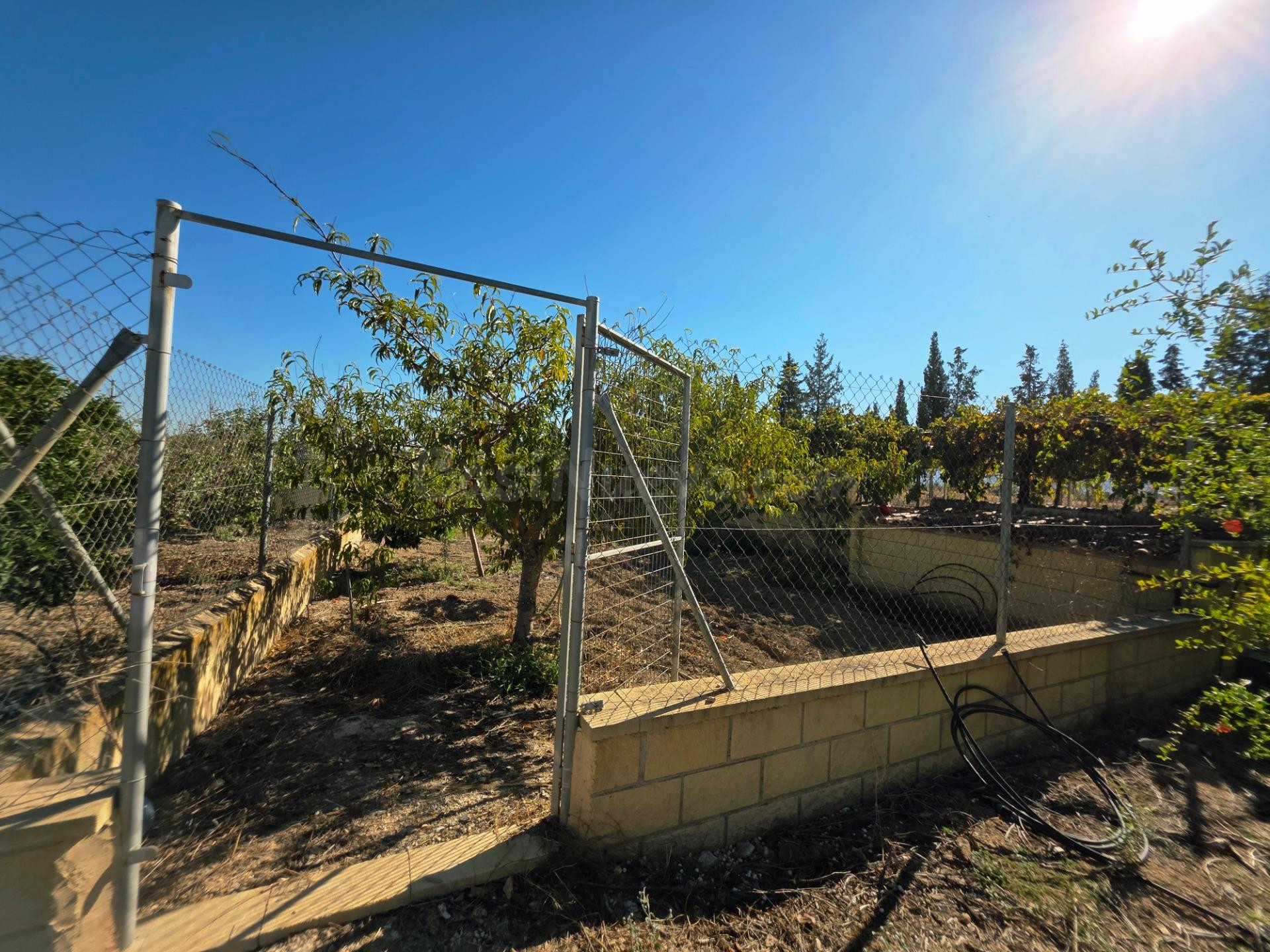 Terreno rural 1 habitación en venta - Sangonera la Seca - foto 5