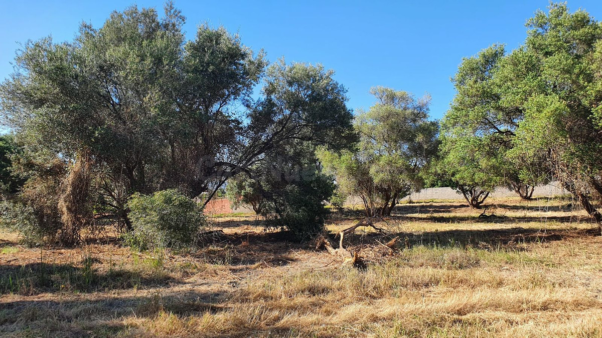 Parcela en venta - Marbella