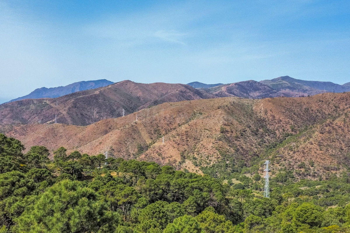 Parcela en venta - Centro - foto 4