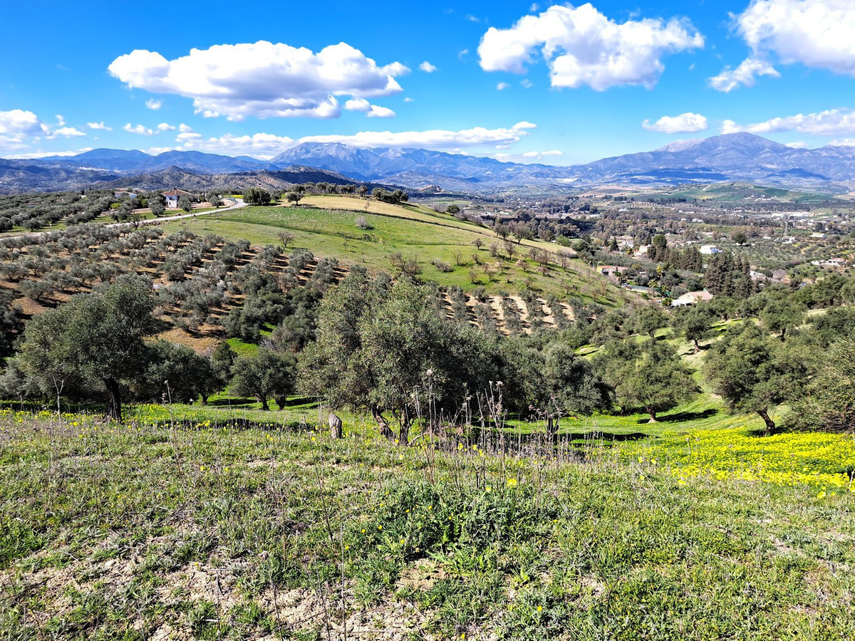 Parcela en venta - Puerto Sol-Los Almendros-El Tomillar