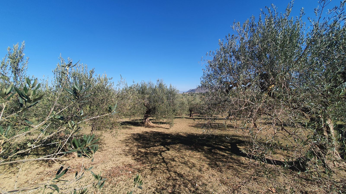 Parcela en venta - Costa del Sol