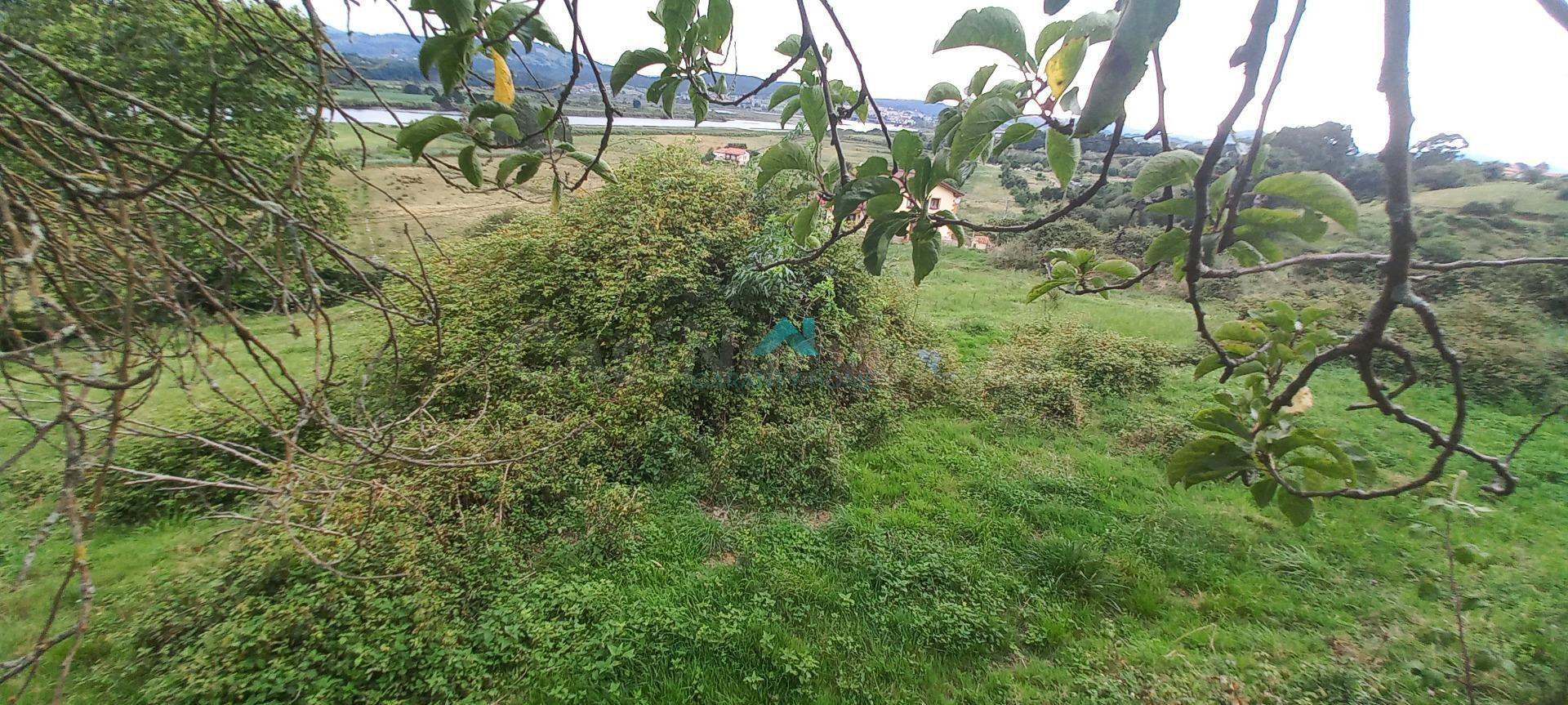 Se vende terreno rústico en Colindres
