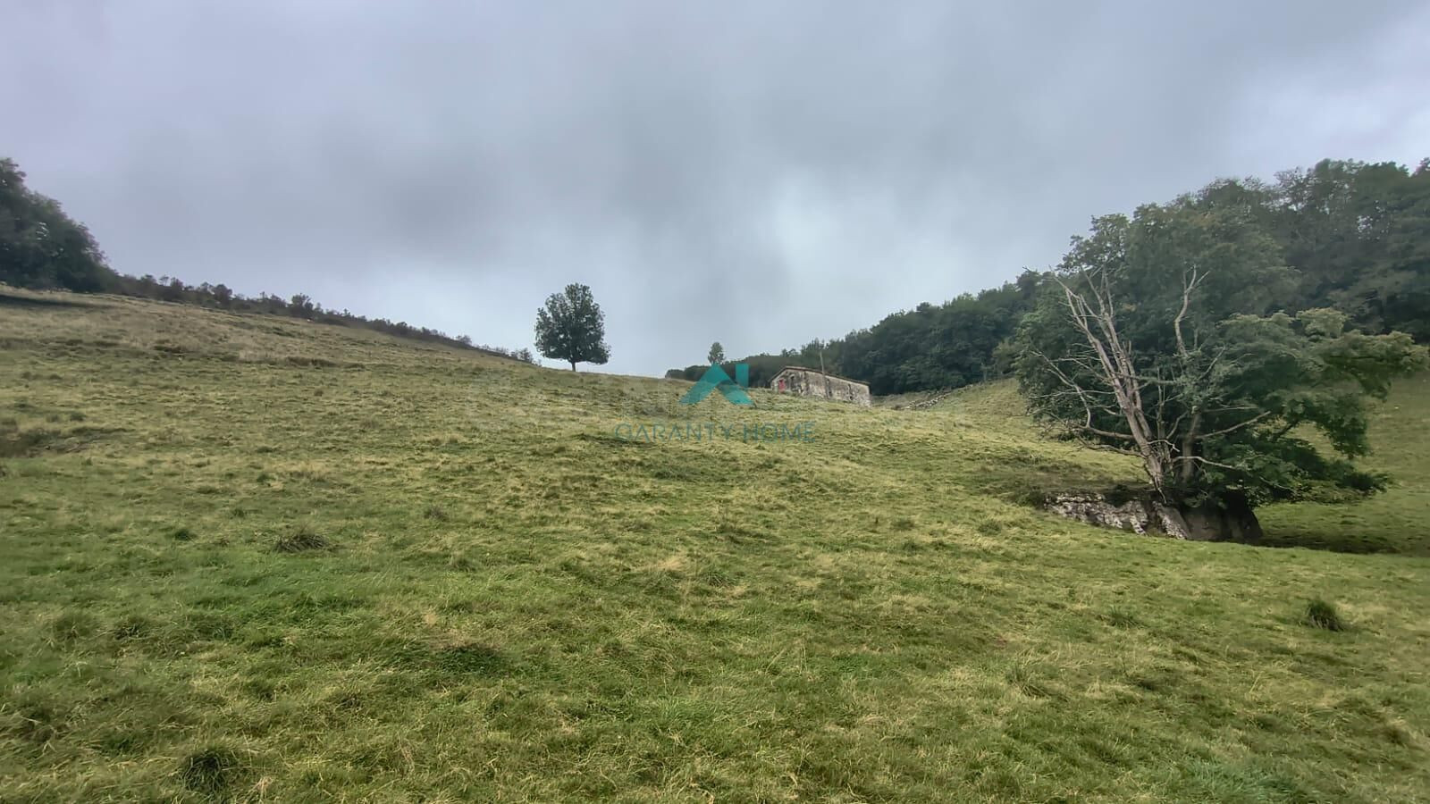 Finca rústica de 52.700 m2 con edificación de 206 m2 en Entrambasaguas (Hornedo)