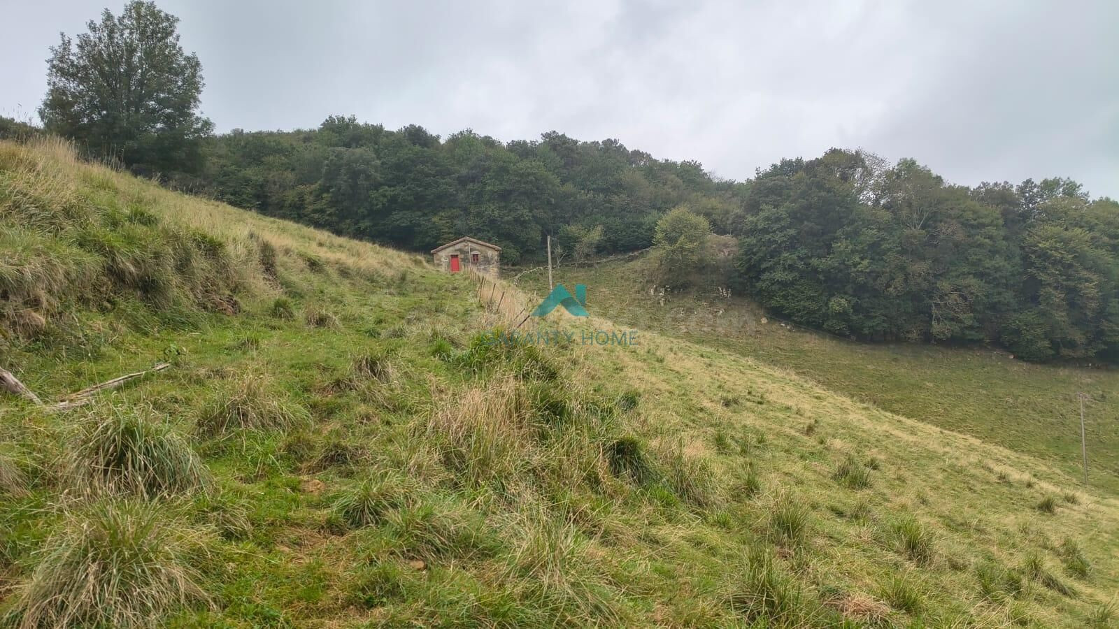 Finca rústica de 52.700 m2 con edificación de 206 m2 en Entr - foto 2