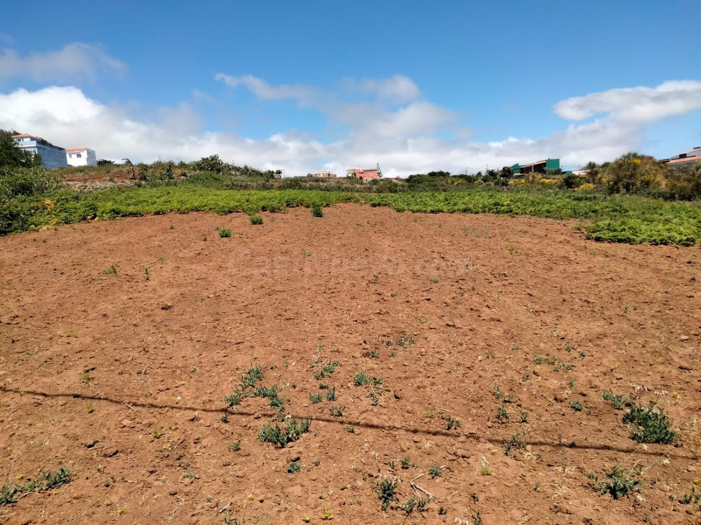 Terreno rural en venta - Zona Centro
