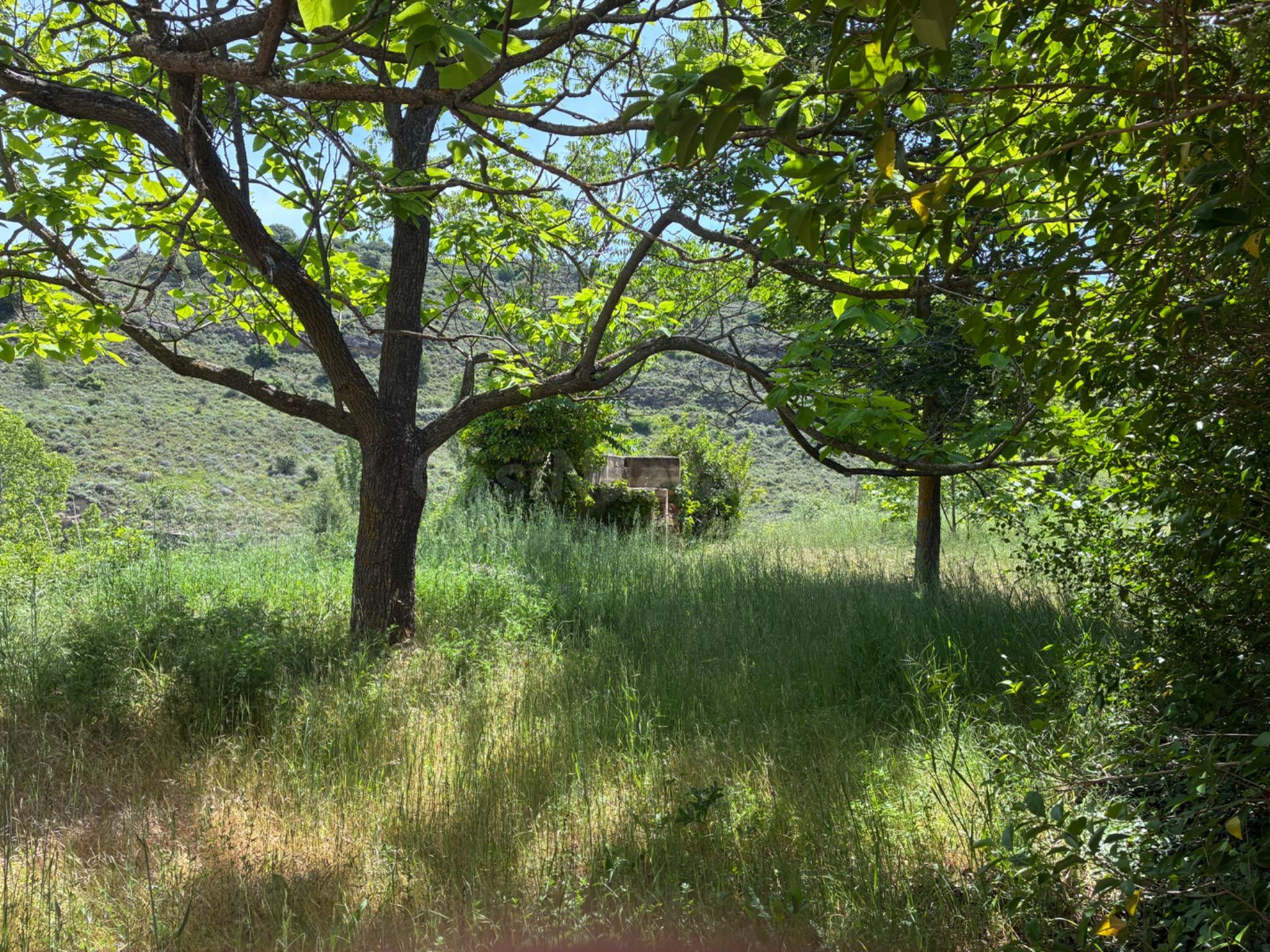 PARCELA URBANA EN VENTA EN UNCASTILLO - 17.700 M2 - foto 2