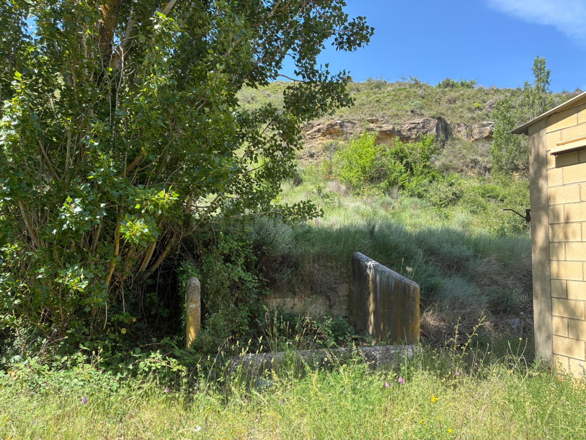 PARCELA URBANA EN VENTA EN UNCASTILLO - 17.700 M2 - foto 5