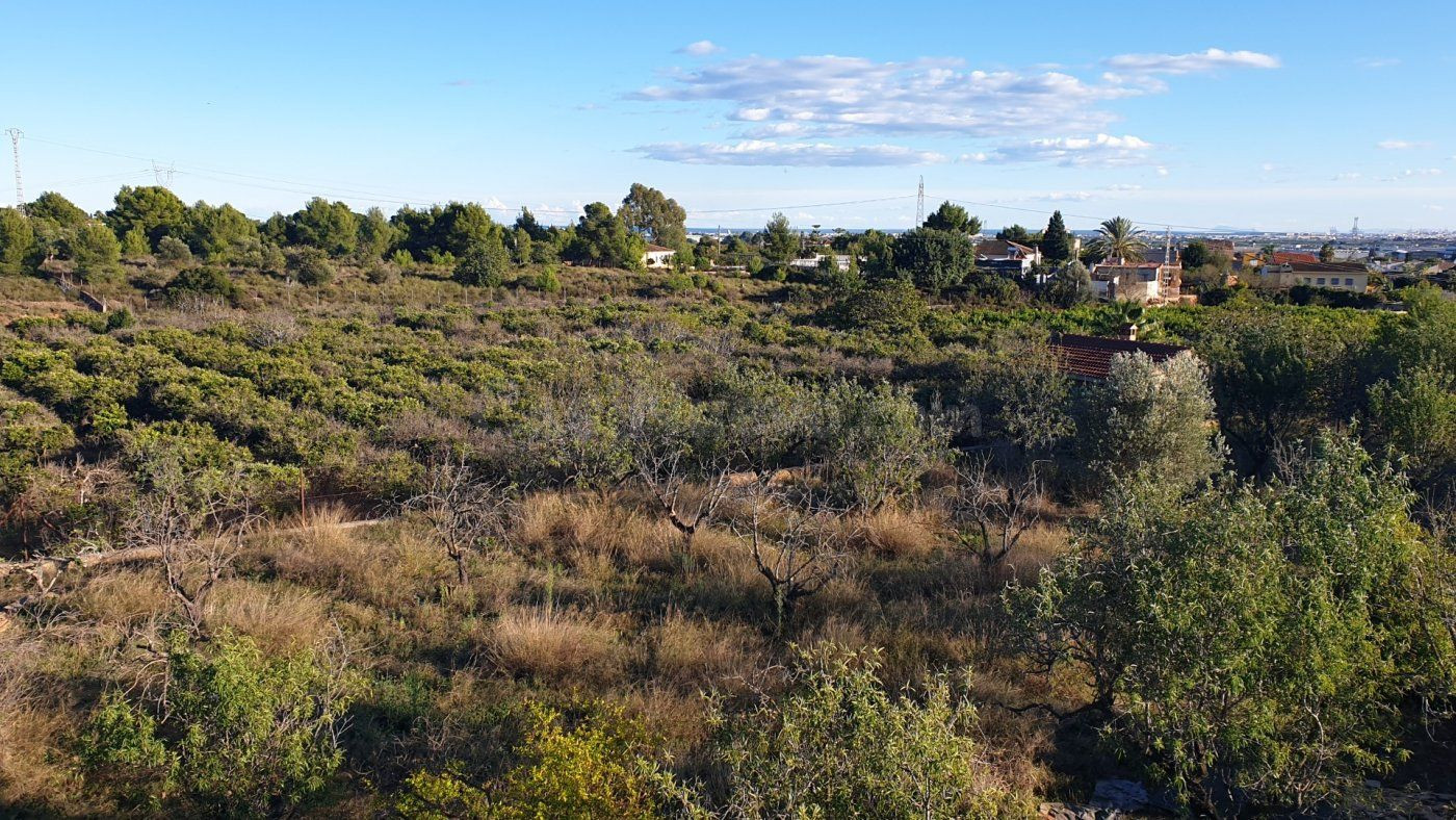 Parcela en venta - El Corralet - Bonanza - Tres Rutas - foto 3