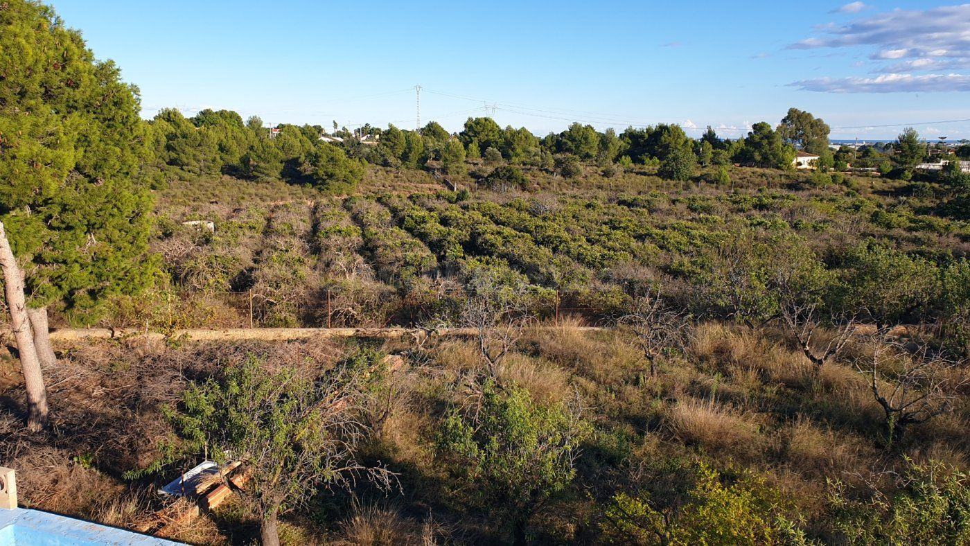 Parcela en venta - El Corralet - Bonanza - Tres Rutas - foto 4