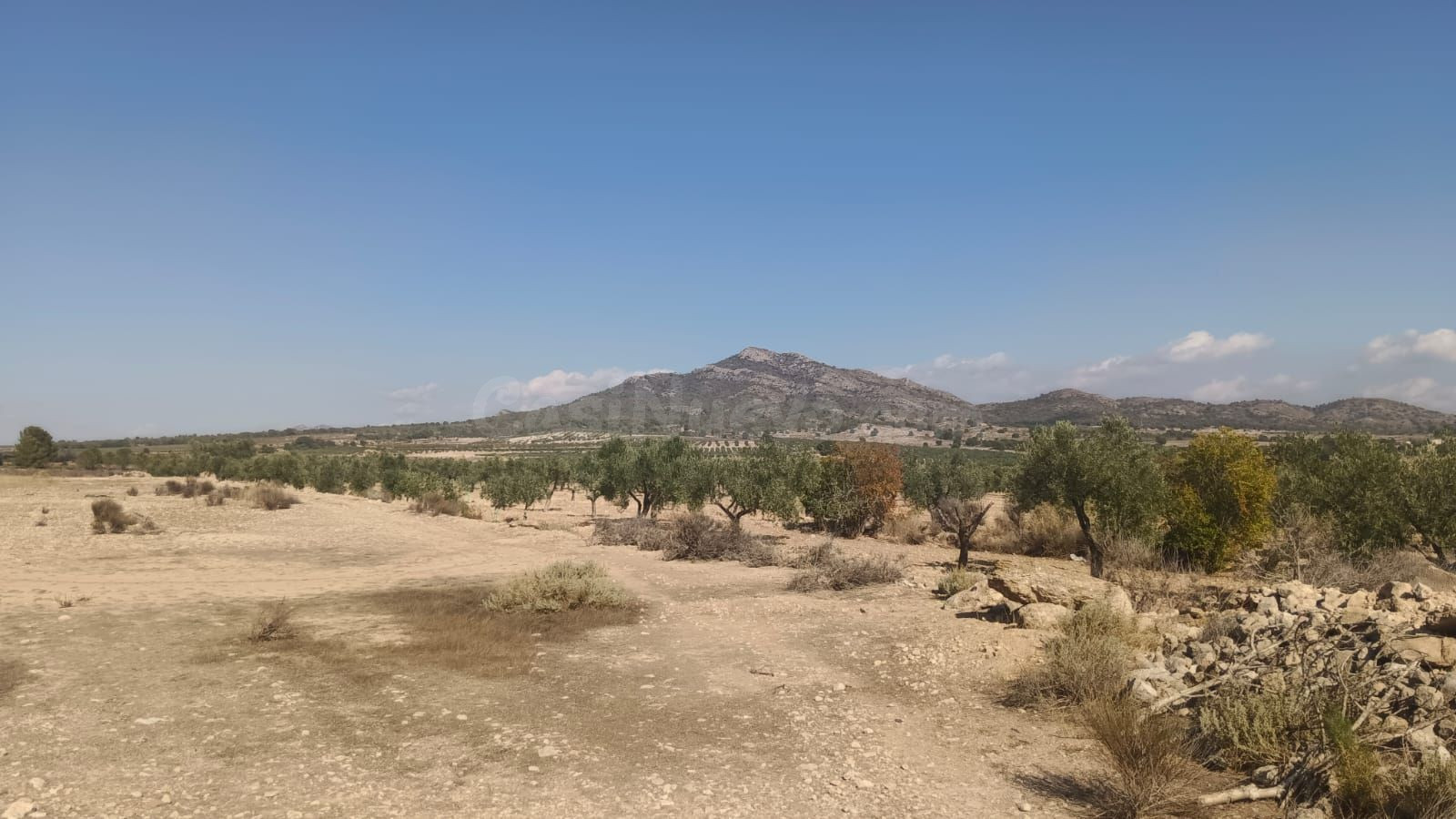 Parcela en venta - Comunidad valenciana - foto 4