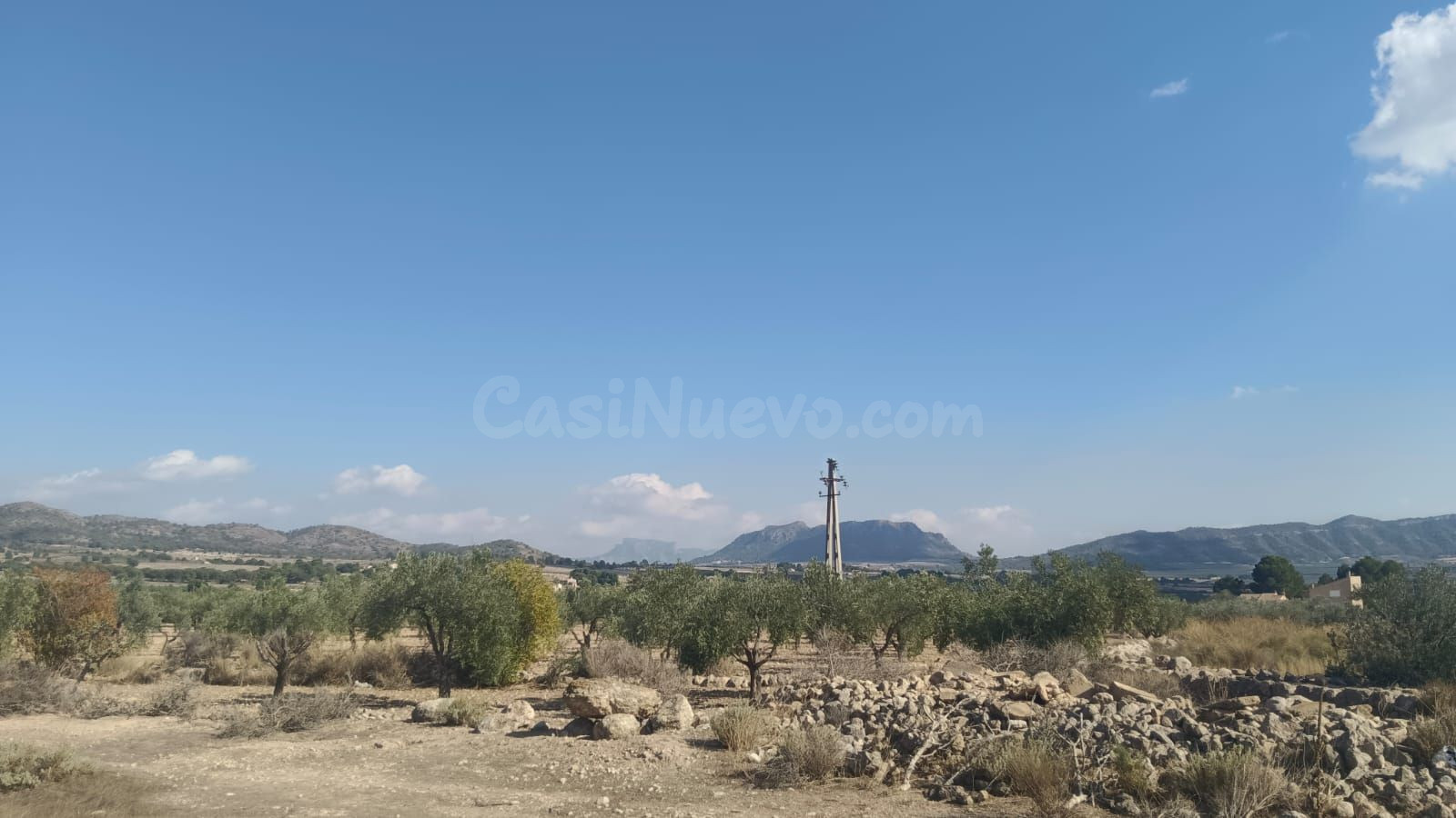 Parcela en venta - Comunidad valenciana - foto 5