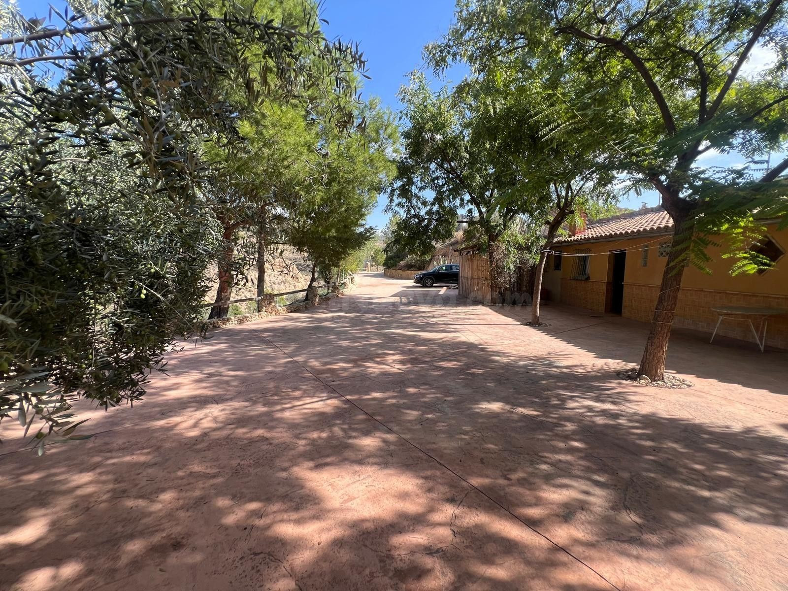 Local comercial 7 habitaciones 400m² en venta - Abanilla