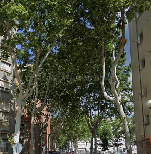 PISO EN BADALONA