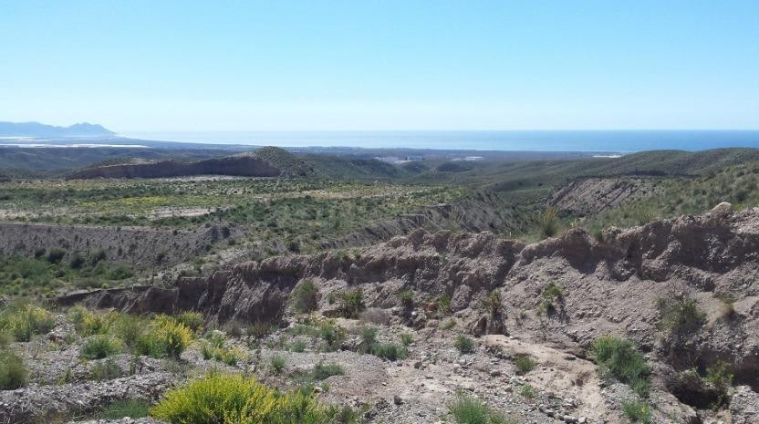 Venta de Terreno Rústico en Coto Espinosa - Almería - foto 3